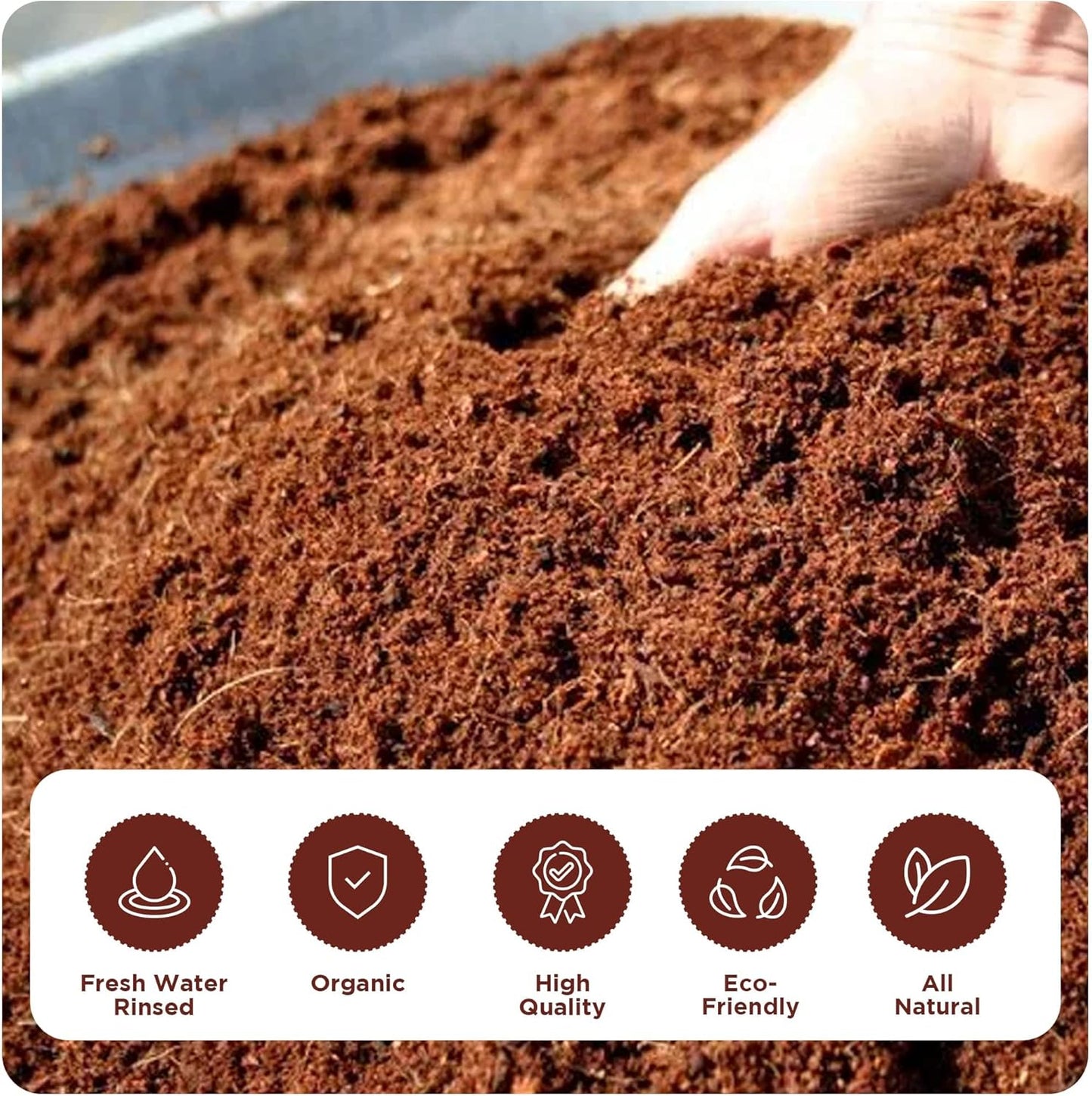 Fertazin Premium Coco Coir Bricks - Pack of 8 Bricks, 12 lbs Total