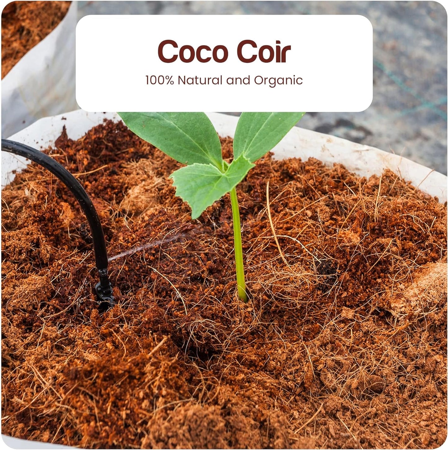 Premium Coco Coir Brick - 10lbs - Expands up to 18~20 Gallons - Eco-Friendly Growing Medium