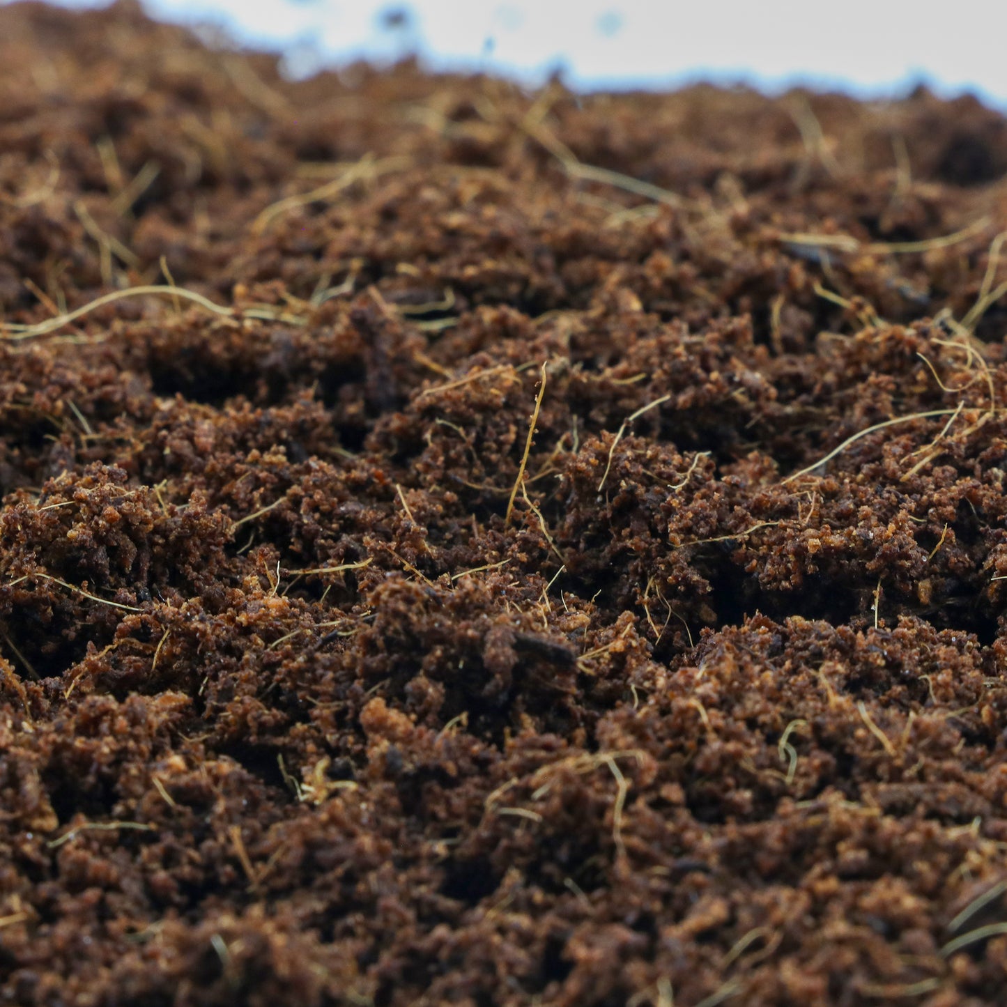 Fertazin Premium Loose Coco Coir - 100% Natural, Triple Washed & Buffered, Low EC Growing Medium for Gardening & Hydroponics