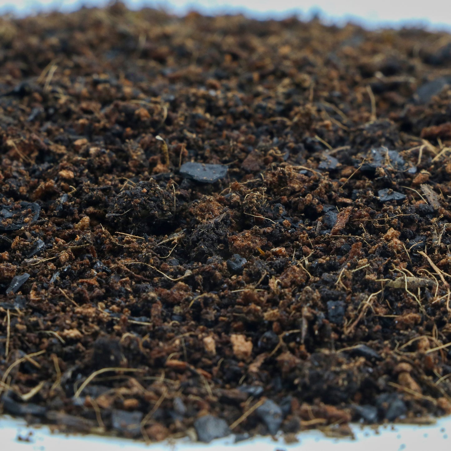 Fertazin UpCycle CocoMax - 100% Renewable Grow Media | Microbially Enriched Coco Coir with Biochar, Worm Castings & Mycorrhizal Fungi