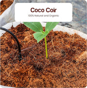 Fertazin Premium Coco Coir Bricks - 4 Bricks, 6 lbs